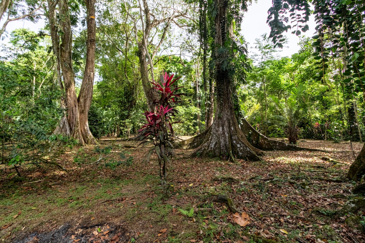 Lush greenery is visible throughout the secluded jungle property, complemented by towering trees and vibrant plant life. A pop of color is introduced by a flowering plant in the foreground, enhancing the natural landscape. The serene environment offers a peaceful retreat amidst nature.