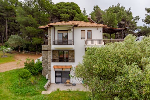 The house by the sea I