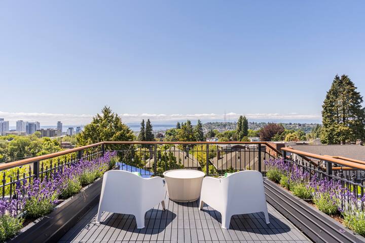 Quintessential Foursquare w/stunning roof terrace gallery image 3