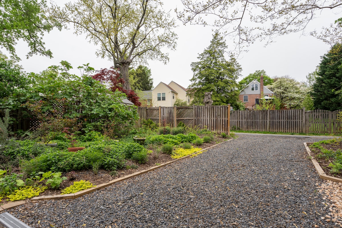 A spacious and serene garden filled with native plants provides a natural haven. Gravel pathways meander through lush greenery, leading to a wooden fence that encloses the area. The backdrop includes residential homes, creating a tranquil, private environment.