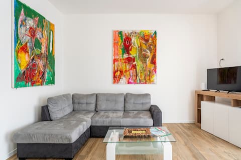 comfortable in the center - 2 bedrooms