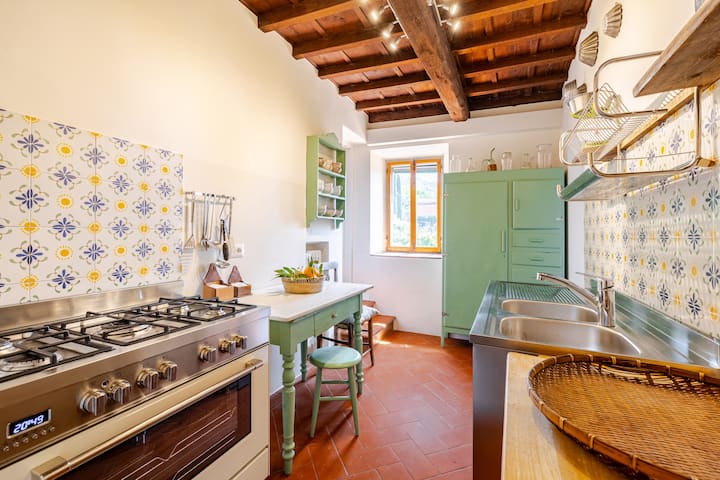 Historical villa in Fiesole