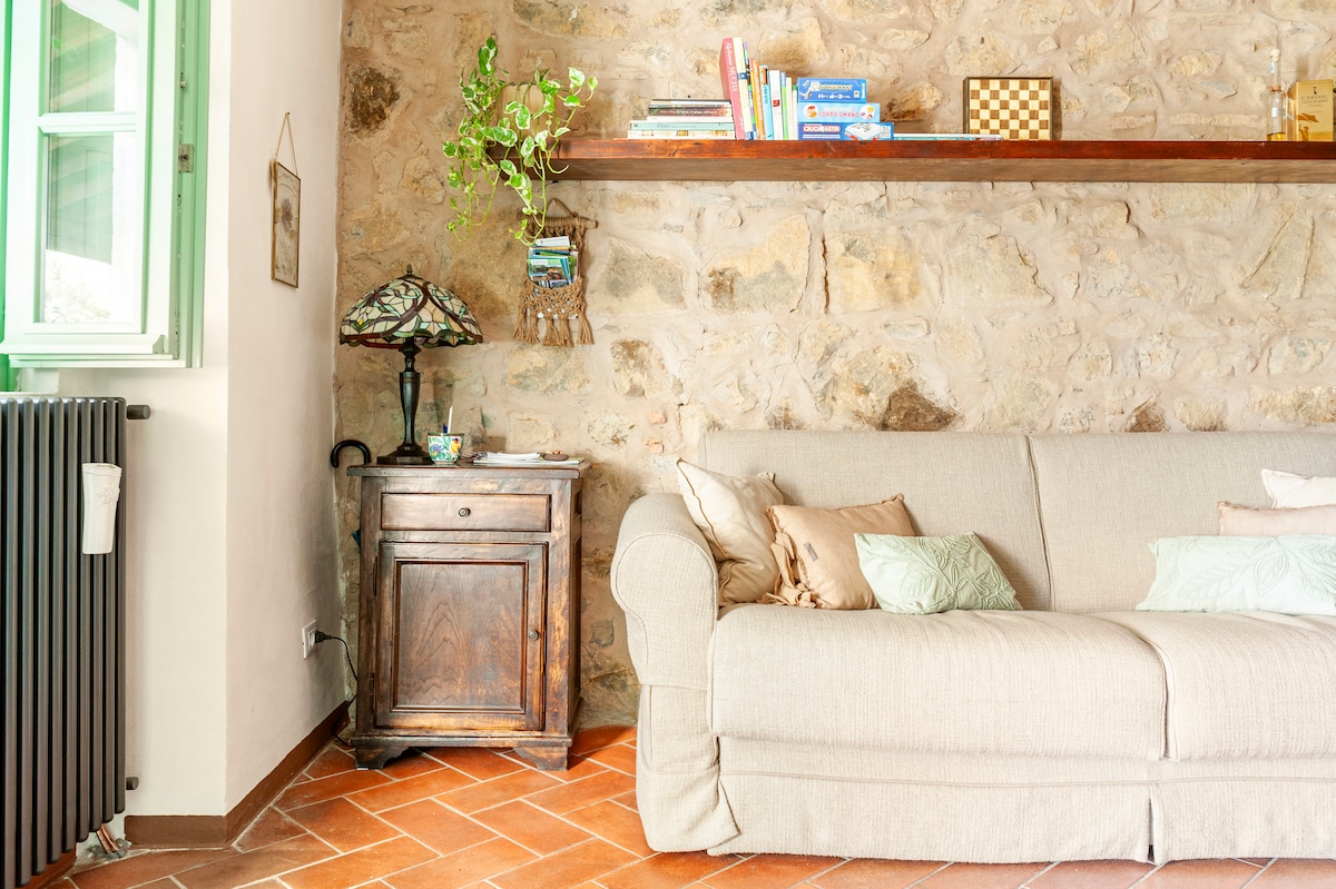 Apartament në dhomën e ndenjjes në oborr Quercia. Lojëra tavoline, libra në gjuhë të ndryshme, fletëpalosje për aktivitetet dhe mrekullitë e territorit. Divan-krevat Lazzerini Garden House.