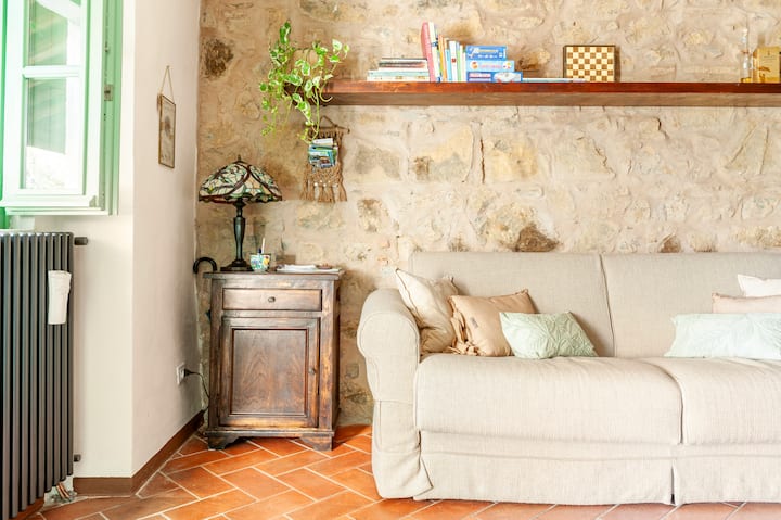 Вътрешен апартамент в хола Quercia. Настолни игри, книги на различни езици, брошури за дейностите и чудеса на територията. Разтегателен диван Lazzerini Garden House.