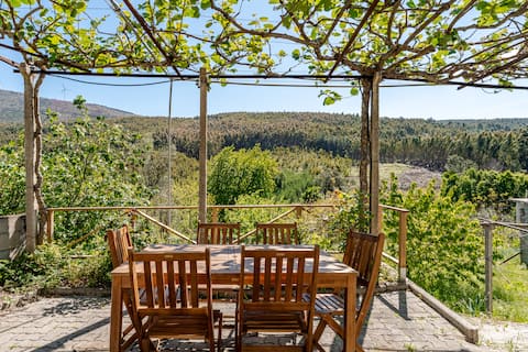 Tranquil retreat with scenic views and orchard