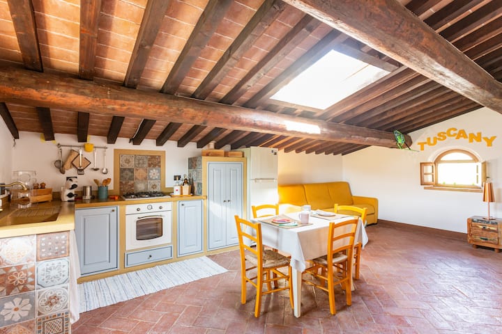 Attic On The Tuscan Hills - Bibbona