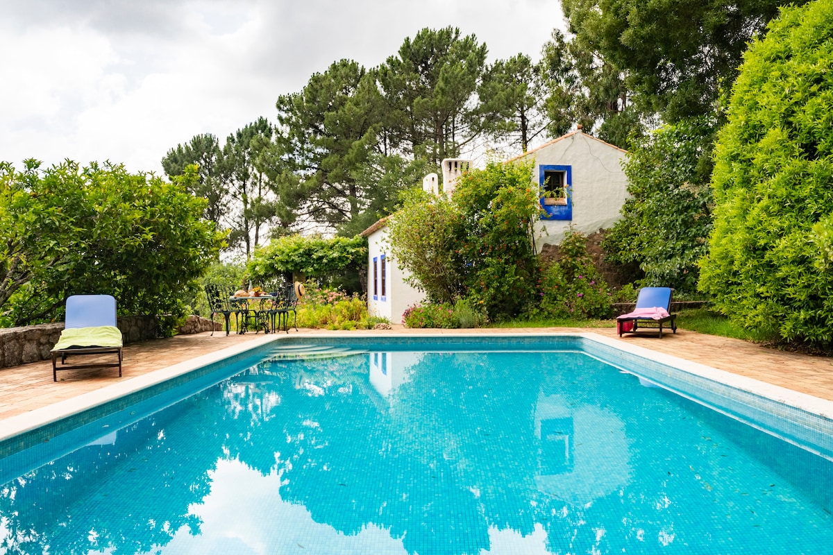 A serene outdoor area features a sparkling pool surrounded by vibrant greenery. Comfortable sun loungers are placed nearby, while a patio table and chairs can be seen in the background. The charming villa with blue accents is nestled among lush trees, enhancing the tranquil setting.