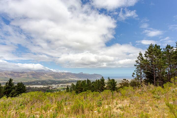 Phezulu lodge – hideaway close to Cape Town gallery image 3