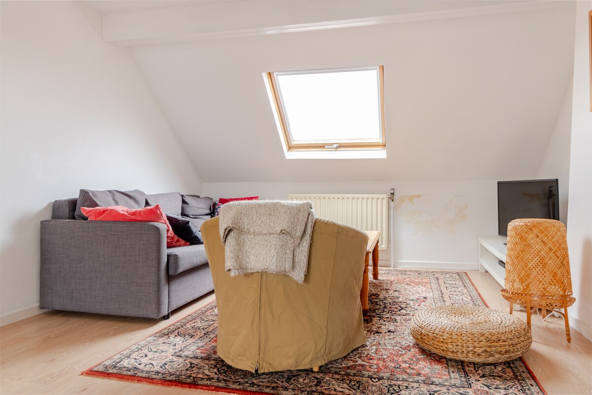 Top Airbnb: Nice cosy duplex with much light in Ixelles Elsene