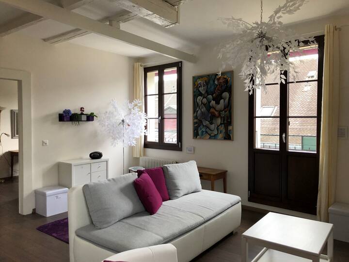 Top 10 Airbnb Vacation Rentals In Vevey, Switzerland Updated 2024