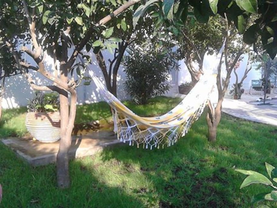 Zona Relax