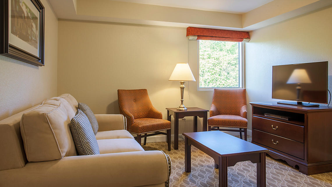 A living area features a light-colored sofa paired with two patterned armchairs. A wooden coffee table sits in the center, while a flat-screen television is positioned on a dark wooden console. Natural light enters through a window with a simple shade.