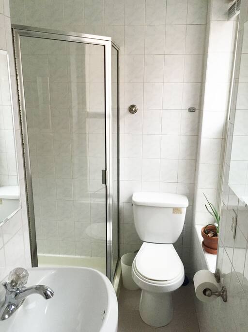 Great light in the bathroom.