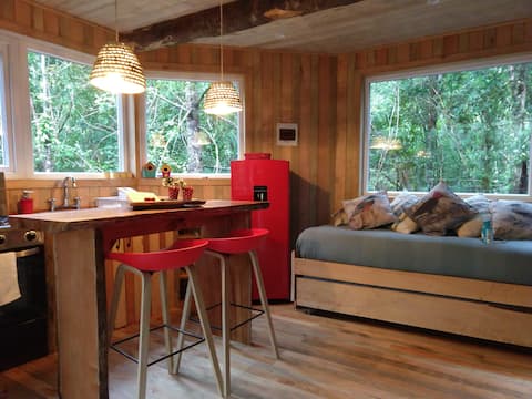 Popular Airbnb listing: Little Red Riding Hood's Grandma's house in Región De Los Lagos