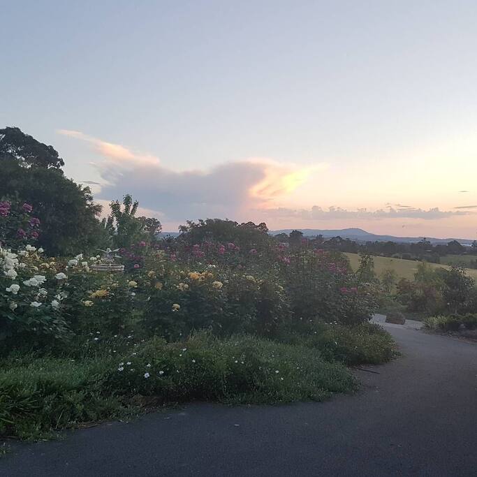 love is in the clouds.