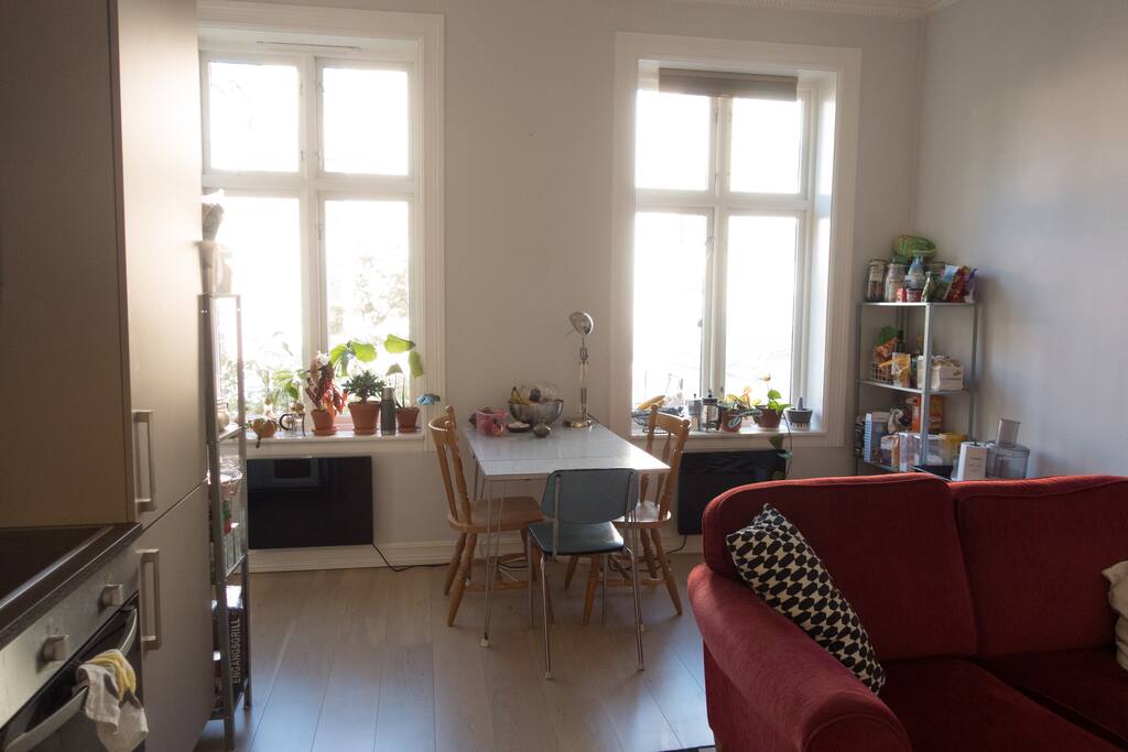 Shared livingroom and kitchen