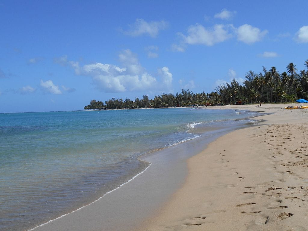 A serene beach scene is captured, featuring gentle waves lapping at the sandy shore. Lush palm trees line the coast, under a clear blue sky with scattered white clouds. The calm water transitions from turquoise to a deeper blue, creating a tranquil atmosphere.