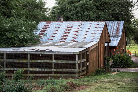 Gus's Place--Rustic, Cozy Cabin in the Piney Woods