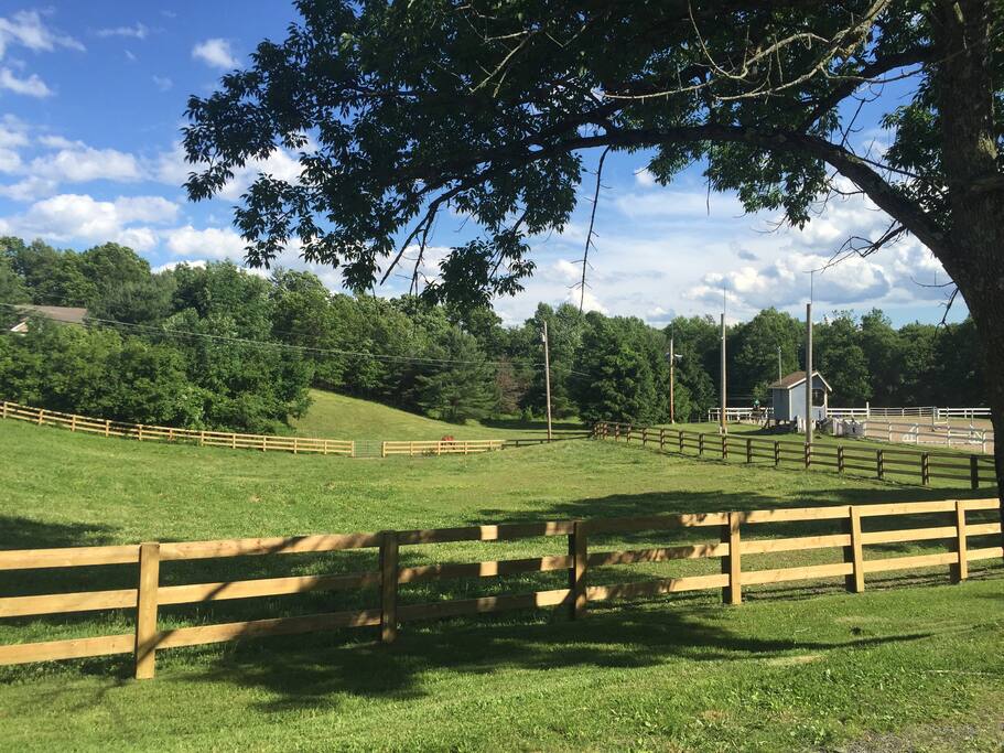 The Guest House at Pleasant Ridge Farm Farm stays for Rent in Cresco