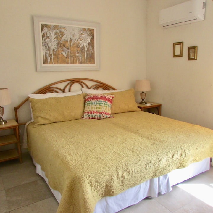 Habitación para huéspedes (king o 2 camas individuales)