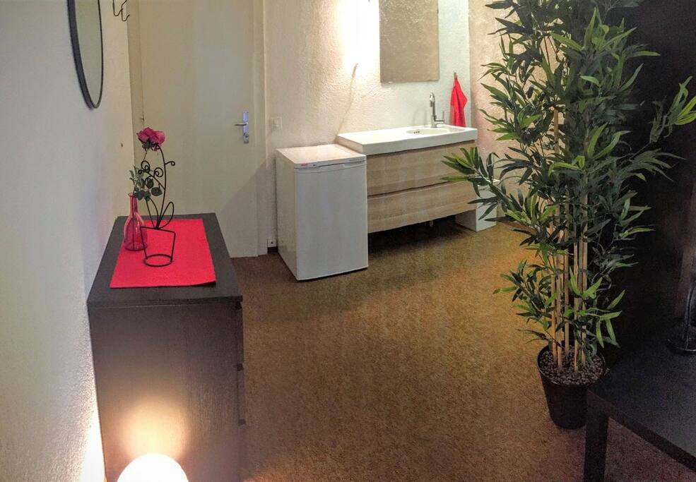 Lavabo et grand frigo + micro-onde
