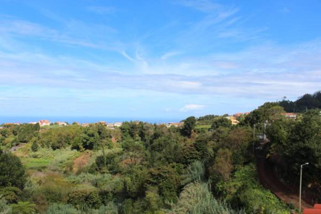 Bela vista
