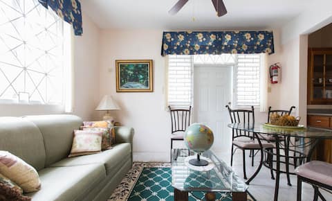 Homey Apartment in Kingston Jamaica