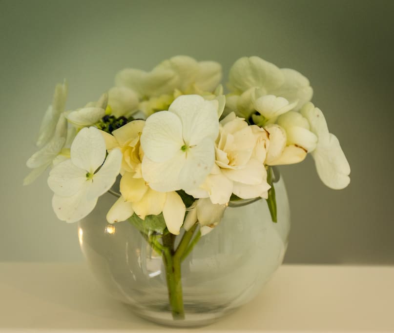 Flowers from the garden