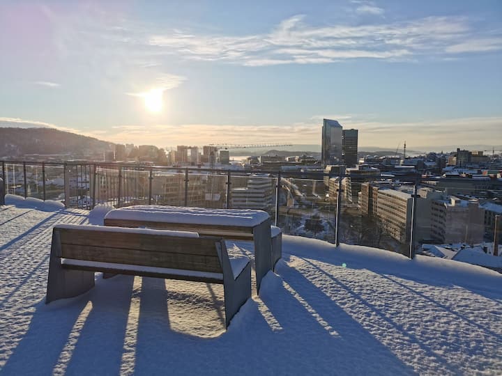 Central & Modern, Renovated 2023 w/Stunning Views! Apartments for