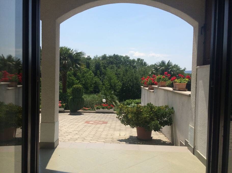 Big backyard