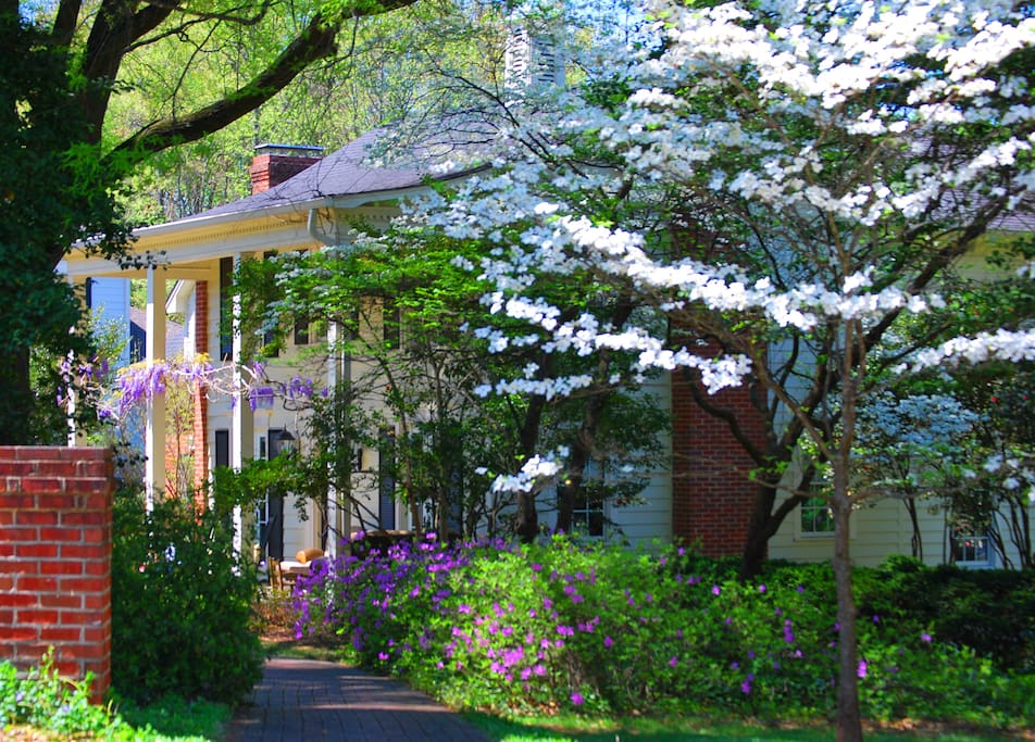 Azalea Path