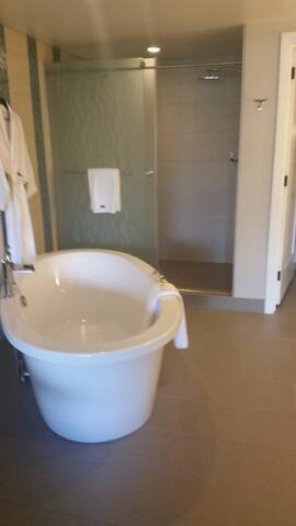 Westin Nanea 2BR 2BA v2 DISC 2024 weeks gallery image 5