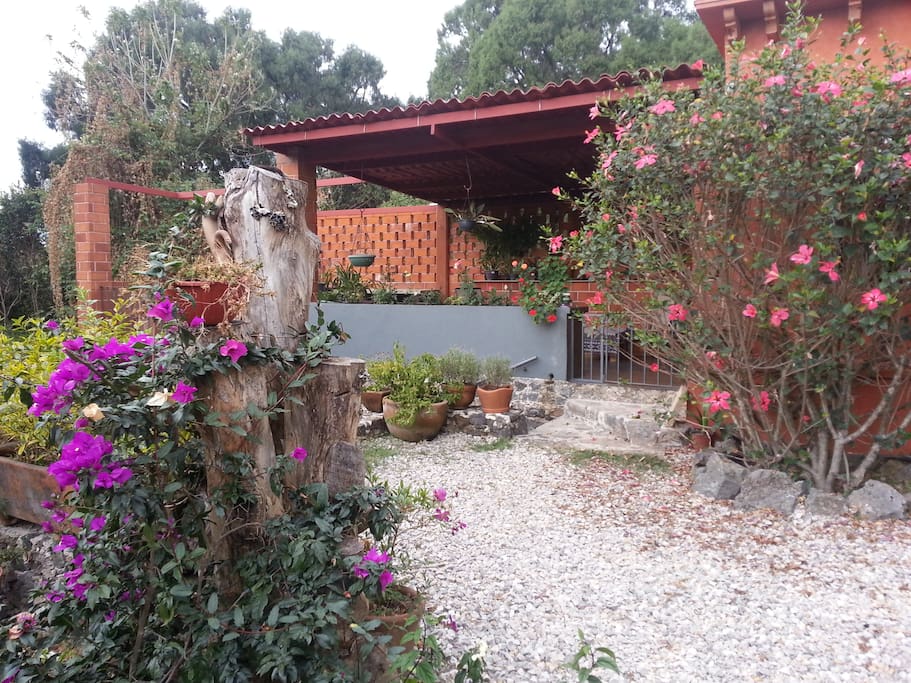 Entrada a la terraza y cocina