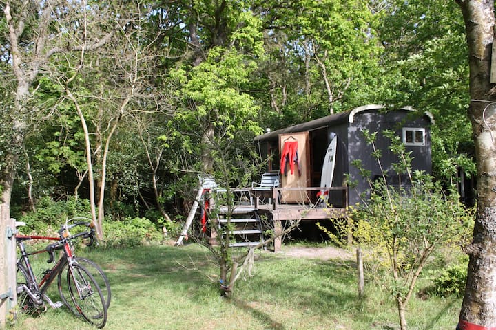 LA SUD woonwagen aan de bosrand