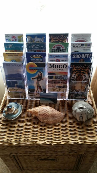 So many places to visit. How about Mogo Zoo only 30 minutes drive