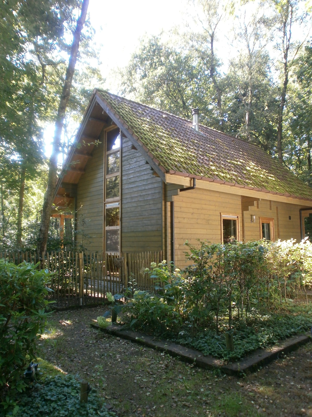 The exterior of the wooden vacation home is nestled among trees, featuring a sloped roof partially covered in moss. Large windows reflect natural light, and a wooden fence encloses a garden area with shrubs, offering a serene setting amidst nature.