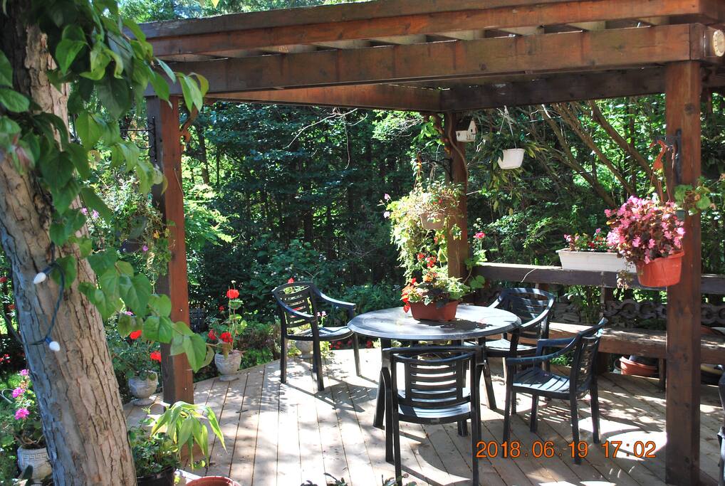 Back deck