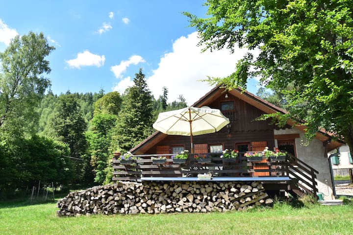 Airbnb Montreux Vacation Rentals Places To Stay