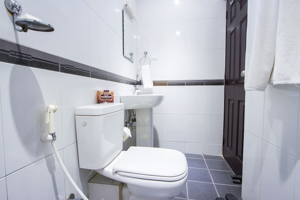 Sparkling clean Toilet/Bathroomwith Real Western Standards,Two Bedroom Standard Apartment