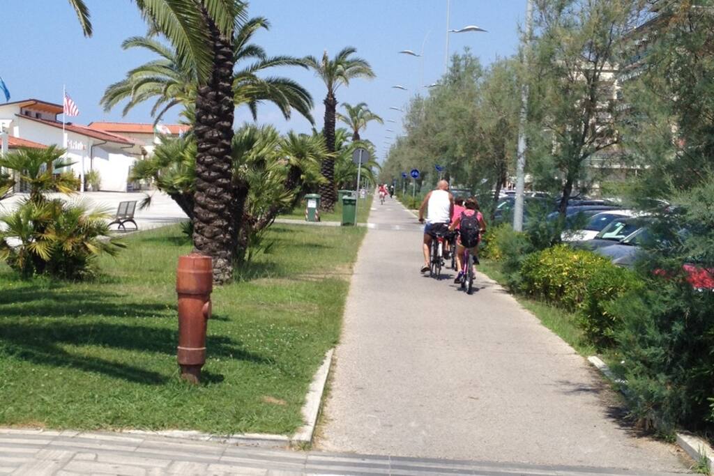bike path along the beach