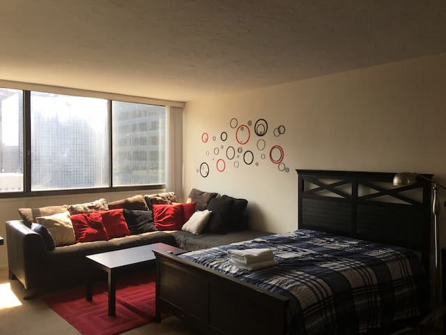 Downtown facing Elegant Living room