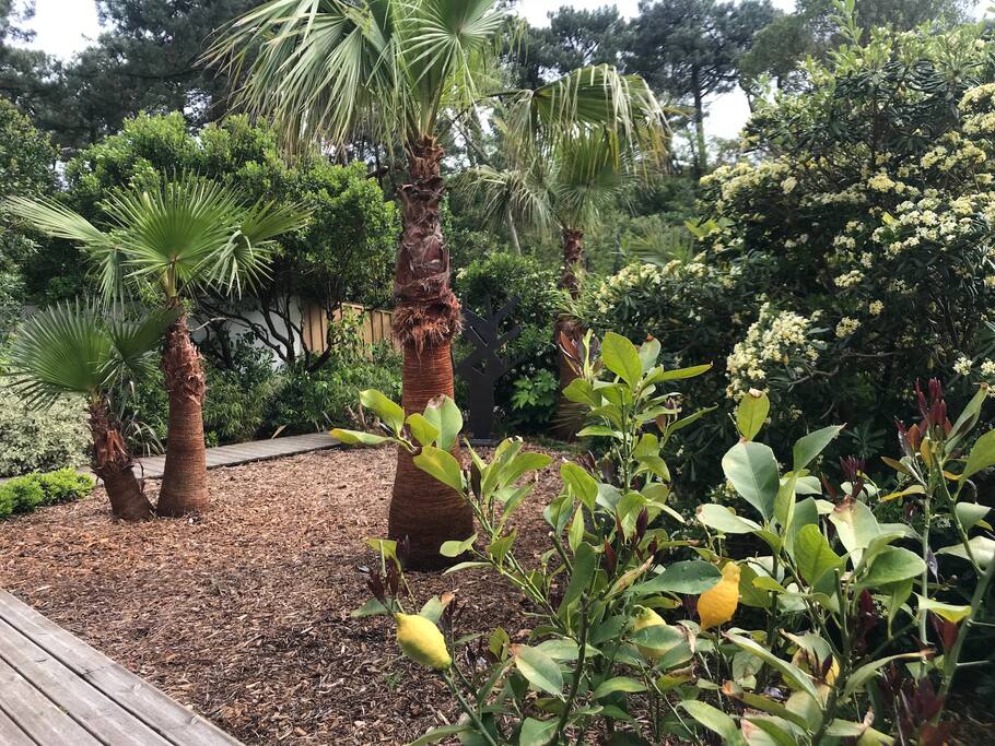 Jardin