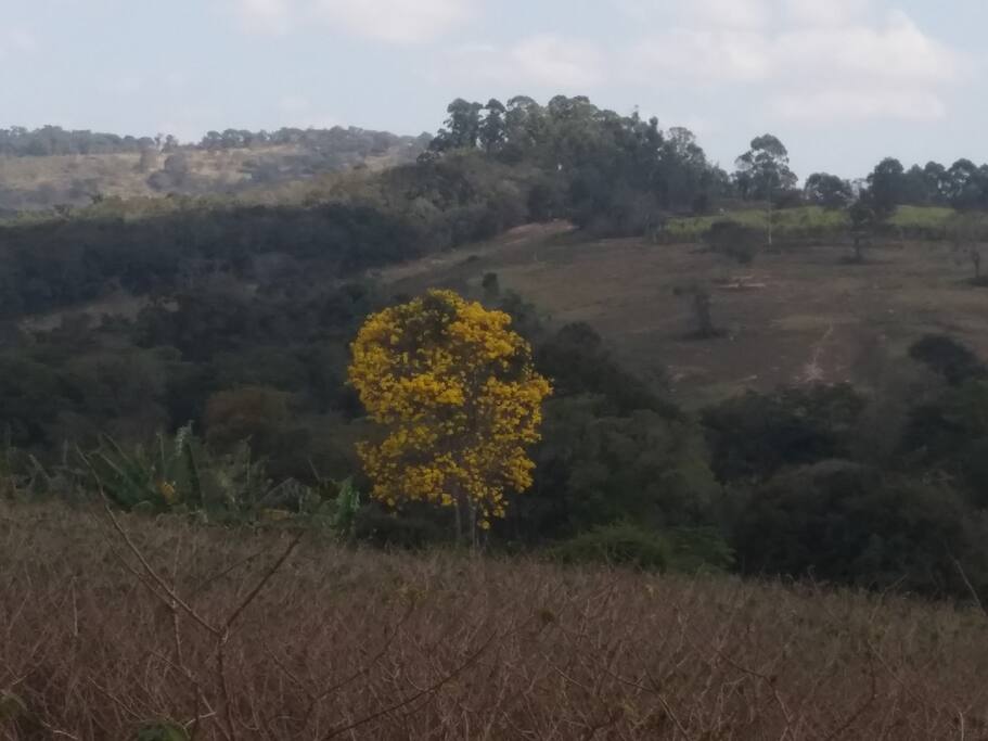 Belas Paisagens