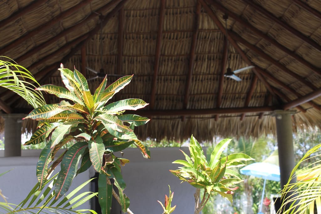Área común. Palapa.
