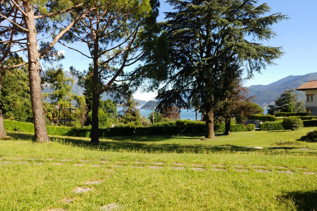 Il parco.