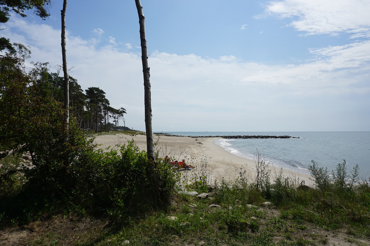 A serene beach landscape features a sandy shore bordered by green foliage. Gentle waves lap against the shore, while a rocky jetty extends into the water. Sparse trees provide a natural frame to the scene, creating a sense of tranquility by the coast.