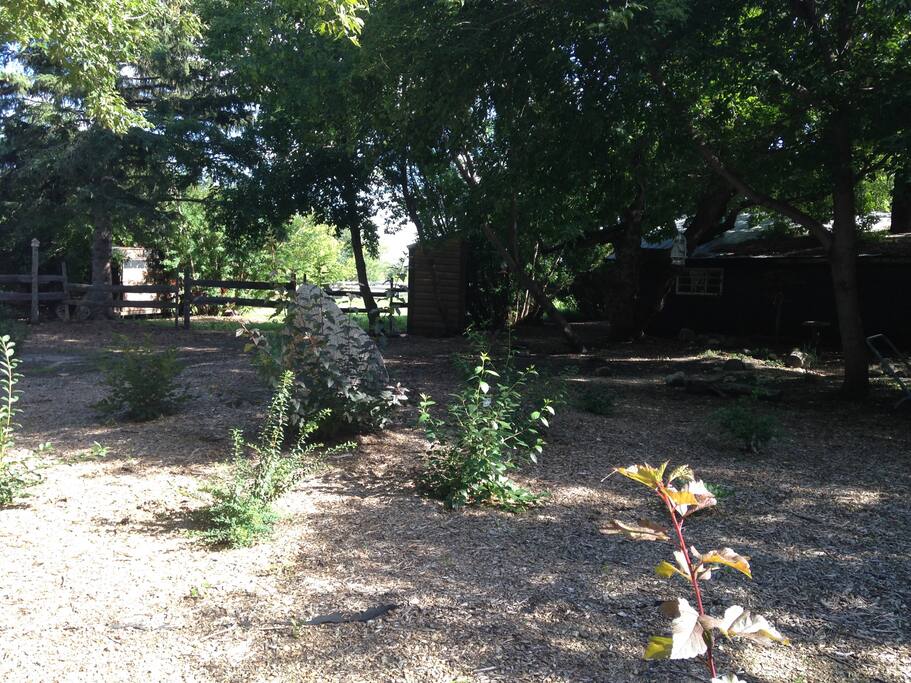 Beautiful garden with a hammock and greenhouse meditation room.