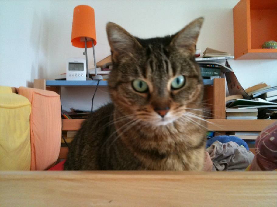 Hello my name is Lilis and I'll be happy to meet you. I need to be cared for.