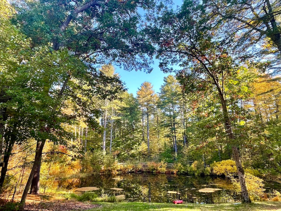 A red cabin on Turtle Pond, North Stonington, Connecticut, United States, photo 9 of 10