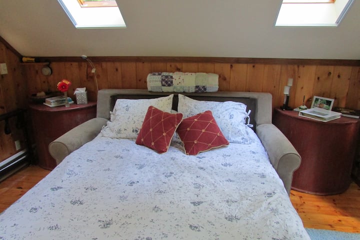 Letto comodo.  Il nostro divano letto è in pelle americana del Texas.  MOLTO comodo.